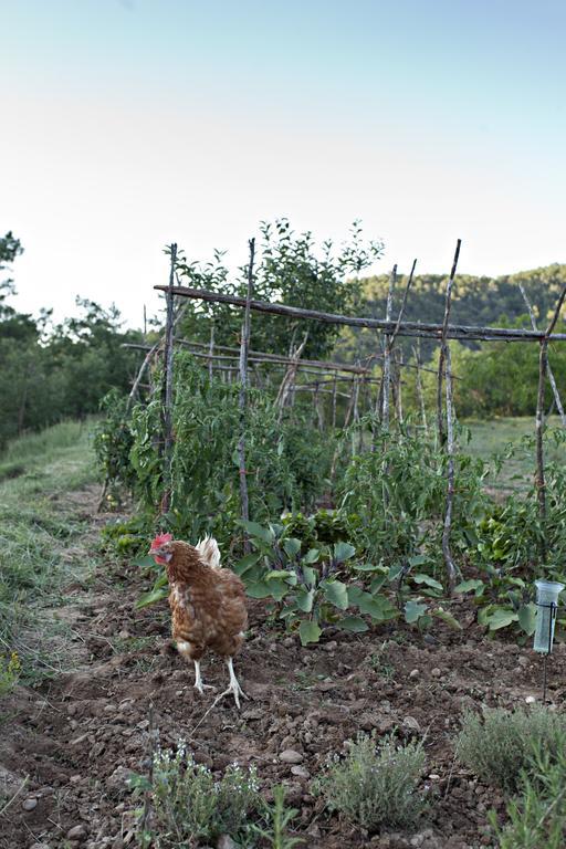 Masia Ca L'Anima 호텔 La Baronia de Rialb 외부 사진