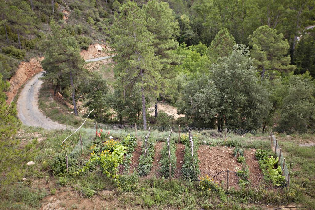 Masia Ca L'Anima 호텔 La Baronia de Rialb 객실 사진