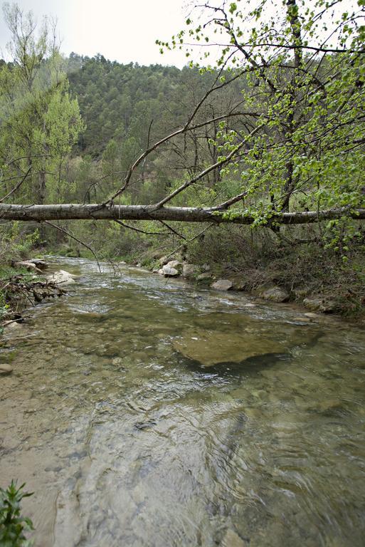 Masia Ca L'Anima 호텔 La Baronia de Rialb 객실 사진