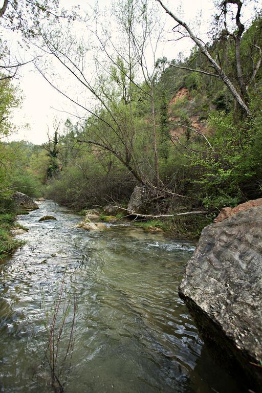 Masia Ca L'Anima 호텔 La Baronia de Rialb 객실 사진